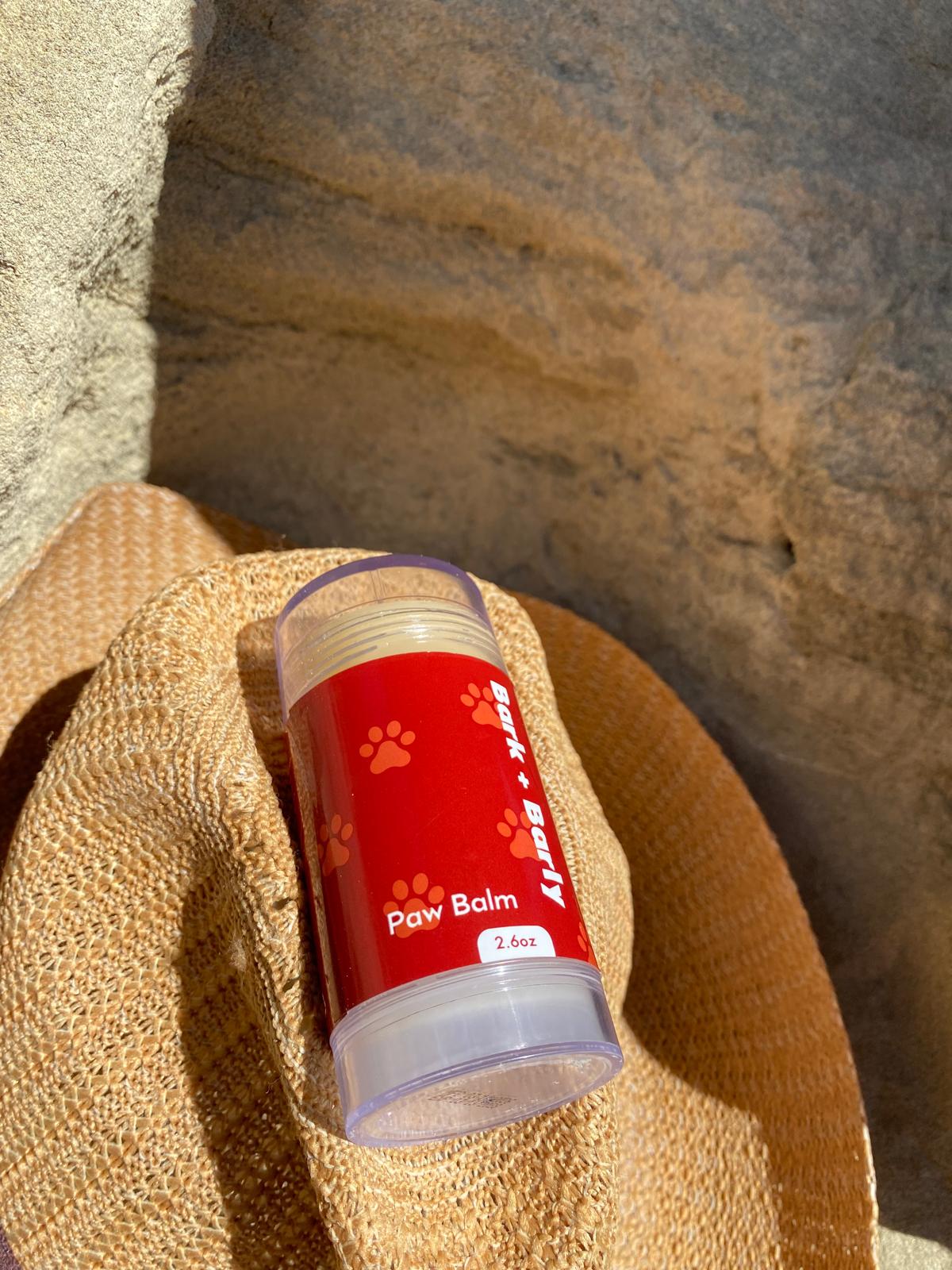 7 Hiking Essentials Every Dog Owner Should Know About