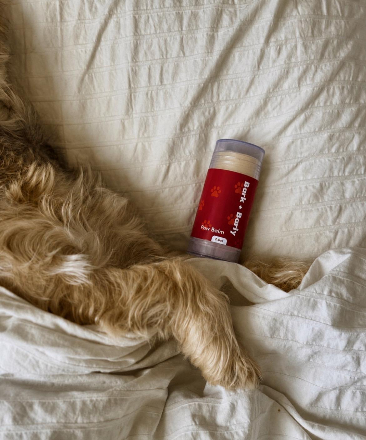 Do You Let Your Dog Sleep in Your Bed? 70% of Dog Owners Say Yes