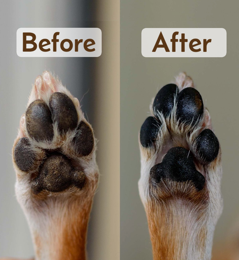 Paw Balm