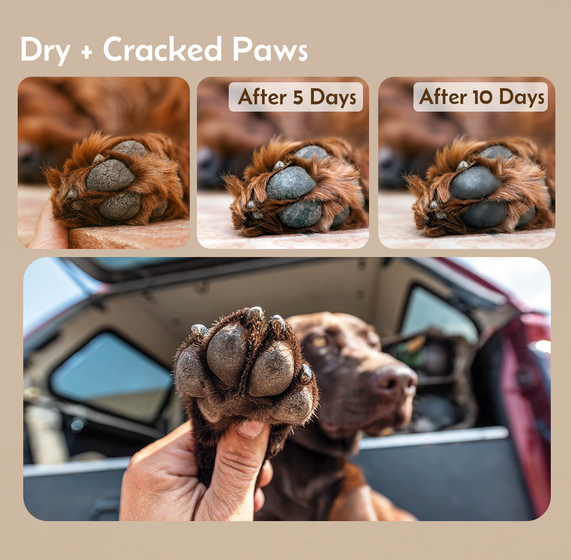 Paw Balm