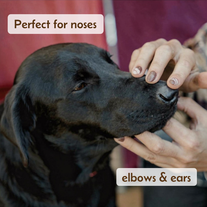 Paw Balm