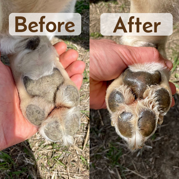 Paw Balm